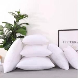 WhatsApp Image 2024-02-01 at 6.13.36 PM (1)