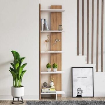 bookshelf21