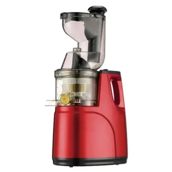 Rebune RE-2-080 Slow Juicer